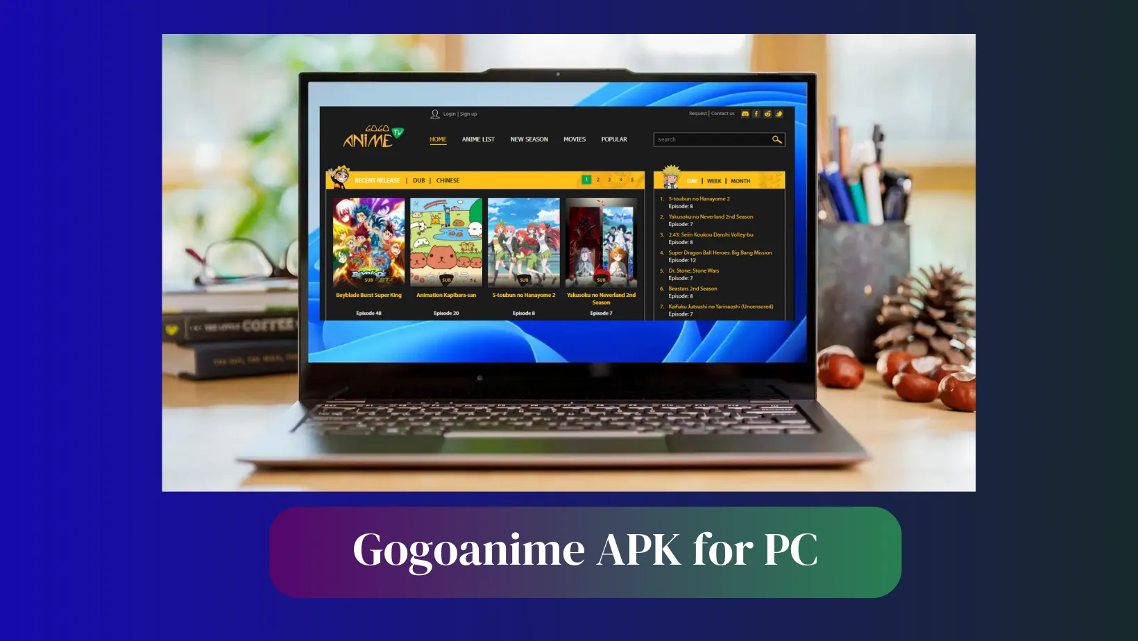 Gogoanime Apk for PC